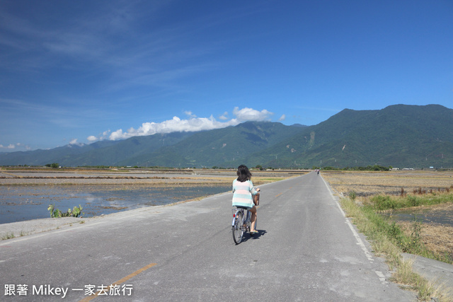 跟著 Mikey 一家去旅行 - 【 池上 】伯朗大道