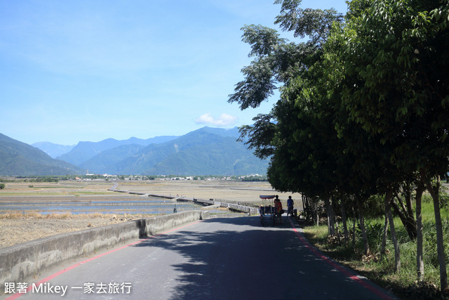 跟著 Mikey 一家去旅行 - 【 池上 】伯朗大道