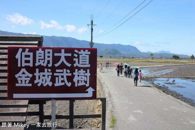 跟著 Mikey 一家去旅行 - 【 池上 】伯朗大道