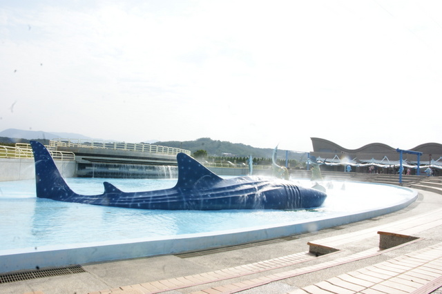 跟著 Mikey 一家去旅行 - 【 車城 】國立海洋生物博物館 - 珊瑚王國館