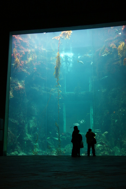 跟著 Mikey 一家去旅行 - 【 車城 】國立海洋生物博物館 - 世界水域館