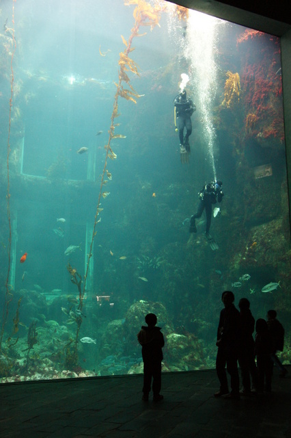 跟著 Mikey 一家去旅行 - 【 車城 】國立海洋生物博物館 - 世界水域館