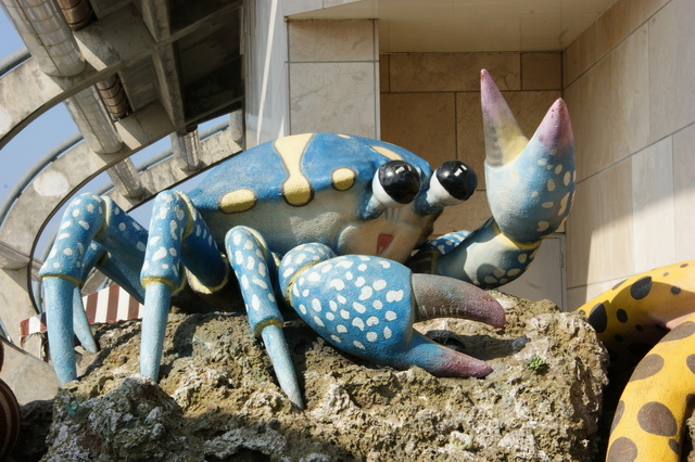 跟著 Mikey 一家去旅行 - 【 車城 】國立海洋生物博物館 - 台灣水域館