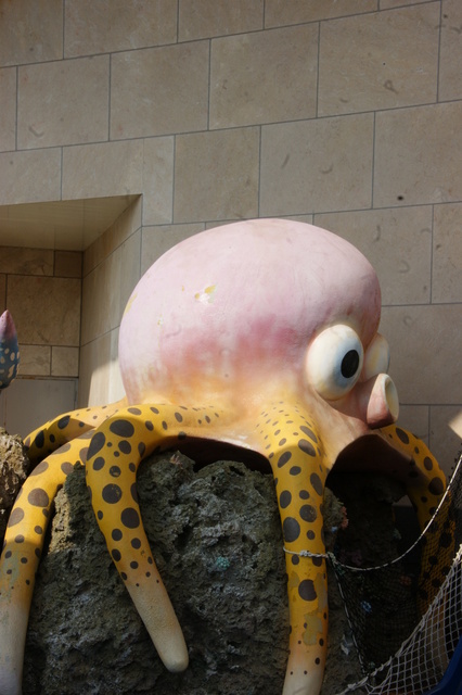 跟著 Mikey 一家去旅行 - 【 車城 】國立海洋生物博物館 - 台灣水域館