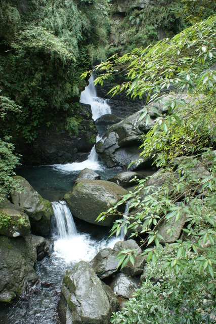 跟著 Mikey 一家去旅行 - 【 三峽 】滿月圓森林遊樂區