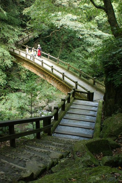 跟著 Mikey 一家去旅行 - 【 三峽 】滿月圓森林遊樂區