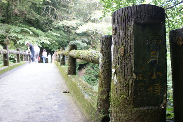 跟著 Mikey 一家去旅行 - 【 三峽 】滿月圓森林遊樂區