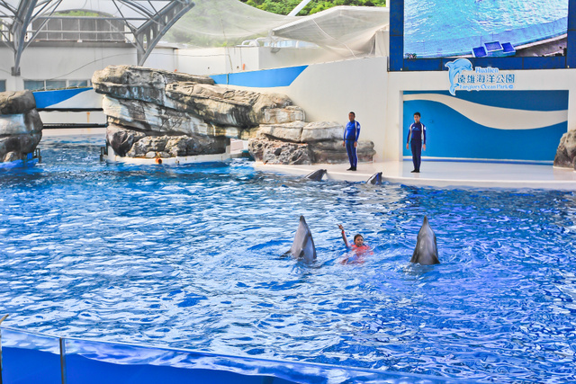 跟著 Mikey 一家去旅行 - 【 壽豐 】花蓮遠雄海洋公園 - 海獅海豚表演篇