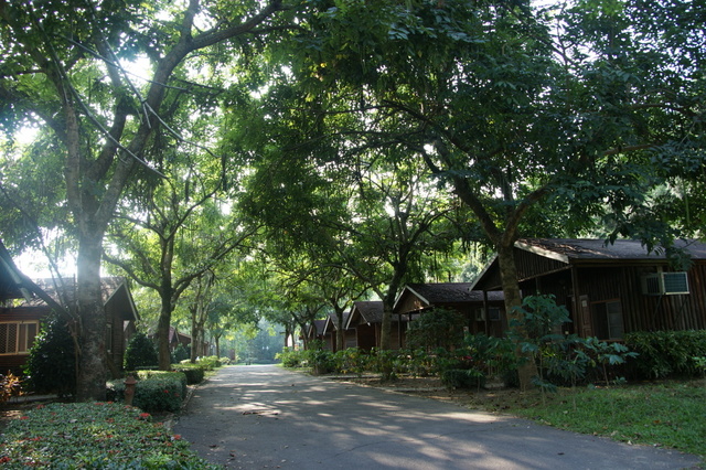 跟著 Mikey 一家去旅行 - 【 仁愛 】泰雅渡假村 - 泰雅皇宮