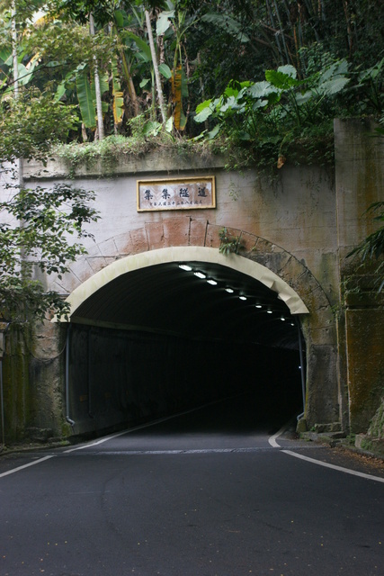 跟著 Mikey 一家去旅行 - 【 集集 】綠色隧道 & 龍泉車站