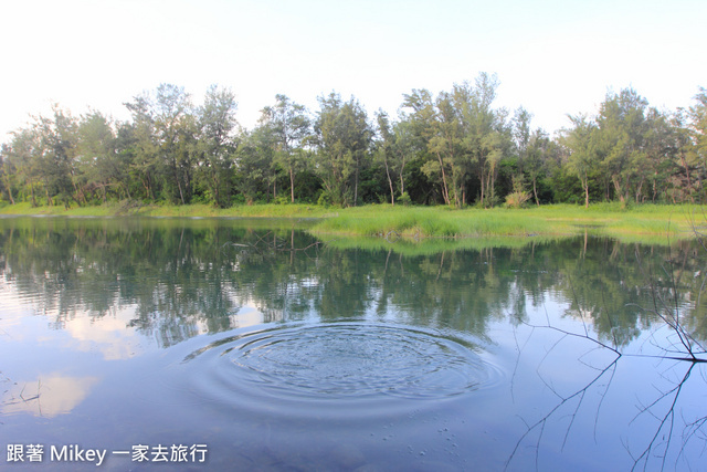 跟著 Mikey 一家去旅行 - 【 台東 】黑森林琵琶湖