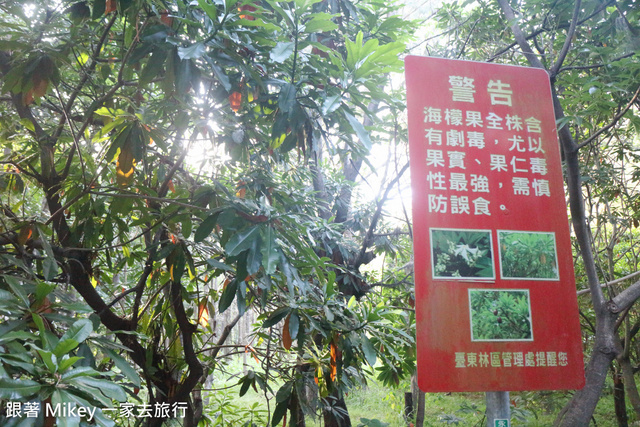 跟著 Mikey 一家去旅行 - 【 台東 】黑森林琵琶湖