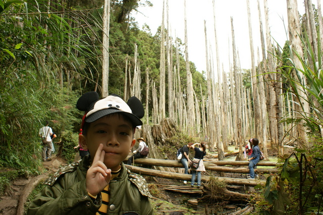 跟著 Mikey 一家去旅行 - 【 竹山 】忘憂森林