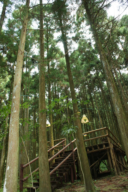 跟著 Mikey 一家去旅行 - 【 關西 】馬武督森林探索樂園