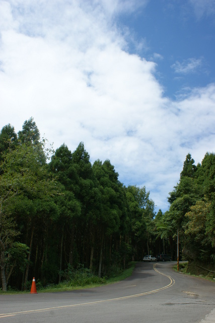 跟著 Mikey 一家去旅行 - 【 關西 】馬武督森林探索樂園