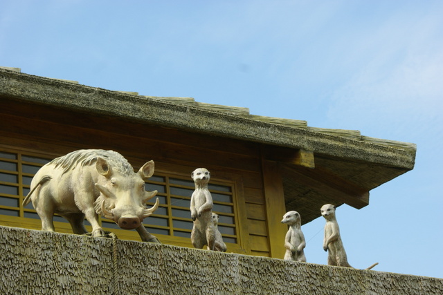 跟著 Mikey 一家去旅行 - 【 關西 】六福村主題遊樂園 - 野生動物區