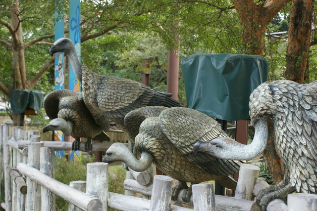 跟著 Mikey 一家去旅行 - 【 關西 】六福村主題遊樂園 - 野生動物區