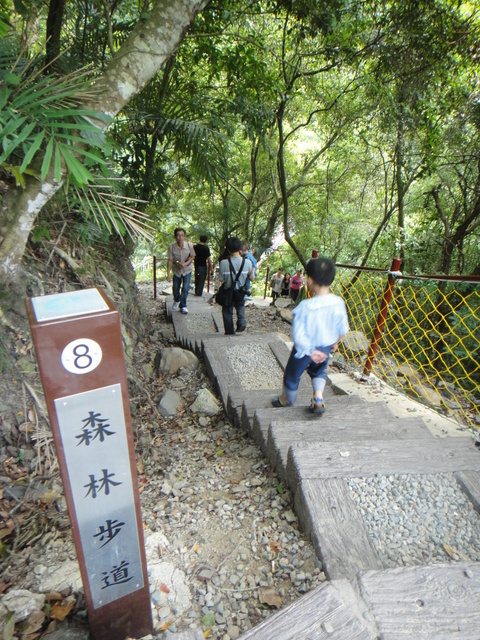 跟著 Mikey 一家去旅行 - 【 復興 】小烏來天空步道