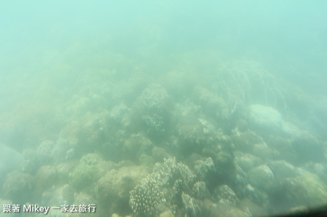 跟著 Mikey 一家去旅行 - 【 馬公 】和慶海洋牧場