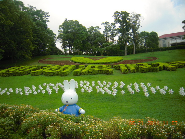 跟著 Mikey 一家去旅行 - 【 三義 】西湖渡假村 - Miffy 桐樂會