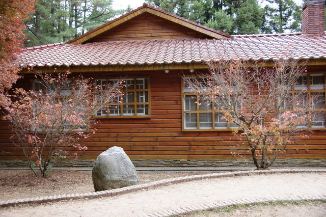 跟著 Mikey 一家去旅行 - 【 和平 】福壽山農場 - 楓紅之美