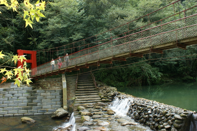 跟著 Mikey 一家去旅行 - 【 竹山 】杉林溪森林遊樂區