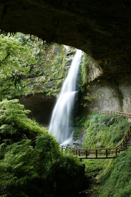 跟著 Mikey 一家去旅行 - 【 竹山 】杉林溪森林遊樂區