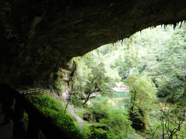 跟著 Mikey 一家去旅行 - 【 竹山 】杉林溪森林遊樂區