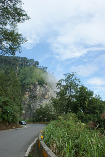 跟著 Mikey 一家去旅行 - 【 竹山 】杉林溪森林遊樂區