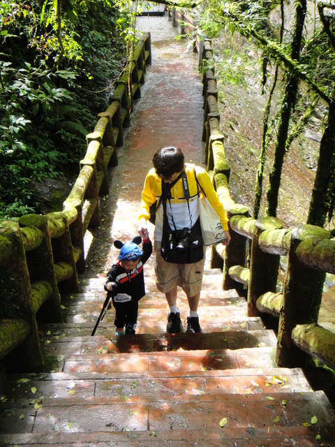 跟著 Mikey 一家去旅行 - 【 竹山 】杉林溪森林遊樂區