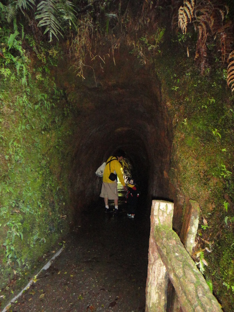 跟著 Mikey 一家去旅行 - 【 竹山 】杉林溪森林遊樂區