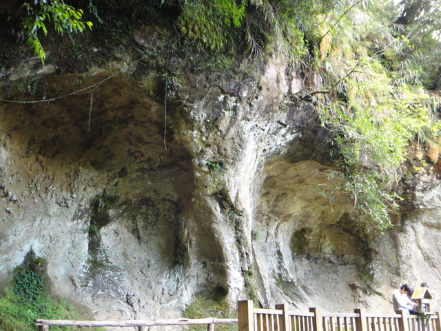 跟著 Mikey 一家去旅行 - 【 竹山 】杉林溪森林遊樂區