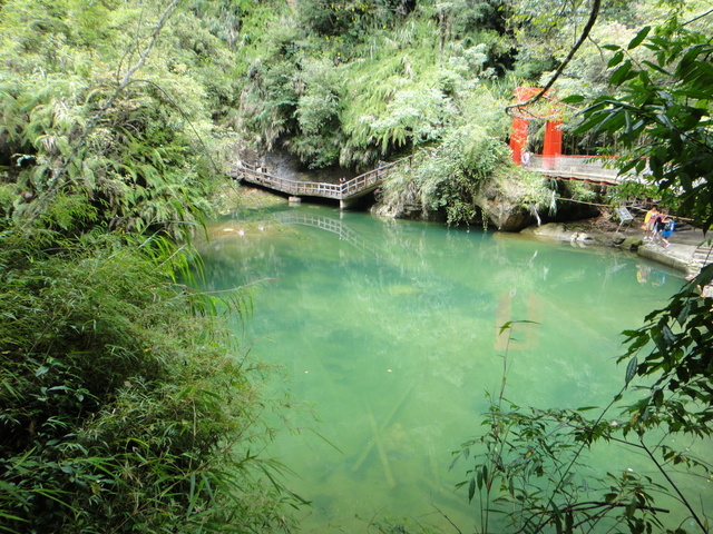 跟著 Mikey 一家去旅行 - 【 竹山 】杉林溪森林遊樂區