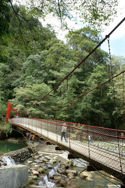 跟著 Mikey 一家去旅行 - 【 竹山 】杉林溪森林遊樂區