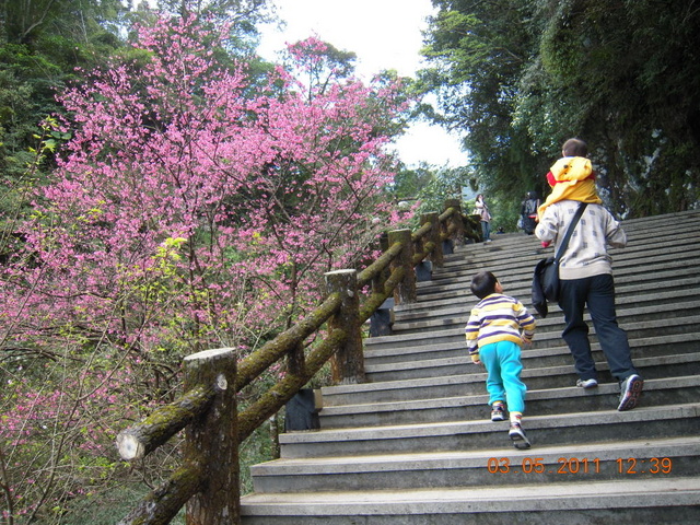 跟著 Mikey 一家去旅行 - 【 烏來 】雲仙樂園