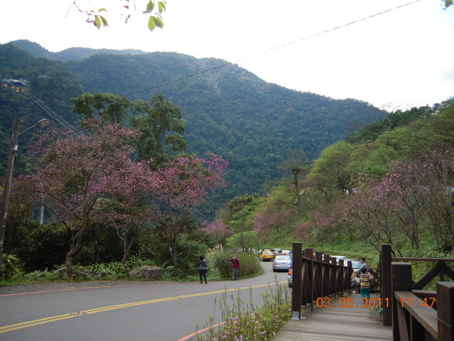 跟著 Mikey 一家去旅行 - 【 烏來 】雲仙樂園