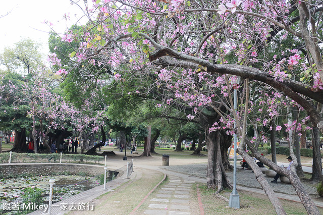 跟著 Mikey 一家去旅行 - 【 台中 】台中公園