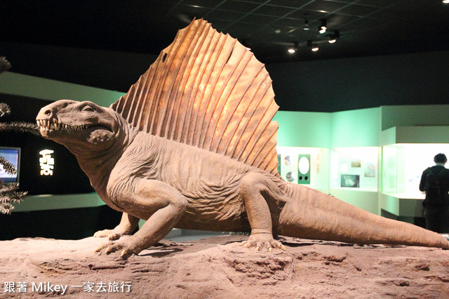 跟著 Mikey 一家去旅行 - 【 台中 】國立自然科學博物館 - 常設展 - 恐龍廳