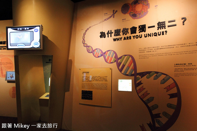 跟著 Mikey 一家去旅行 - 【 台中 】國立自然科學博物館 - 常設展 - 我們的身體