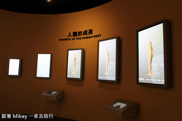 跟著 Mikey 一家去旅行 - 【 台中 】國立自然科學博物館 - 常設展 - 我們的身體