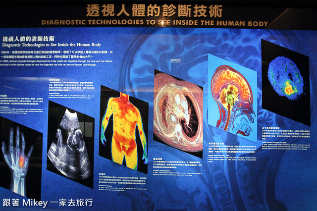 跟著 Mikey 一家去旅行 - 【 台中 】國立自然科學博物館 - 常設展 - 我們的身體