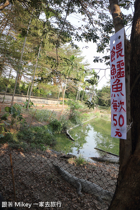 跟著 Mikey 一家去旅行 - 【 潮州 】不一樣鱷魚生態農場 - Part I