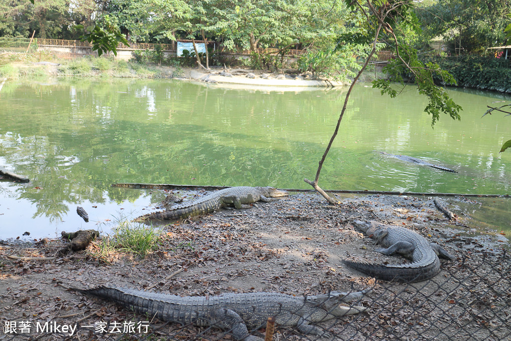 跟著 Mikey 一家去旅行 - 【 潮州 】不一樣鱷魚生態農場 - Part I