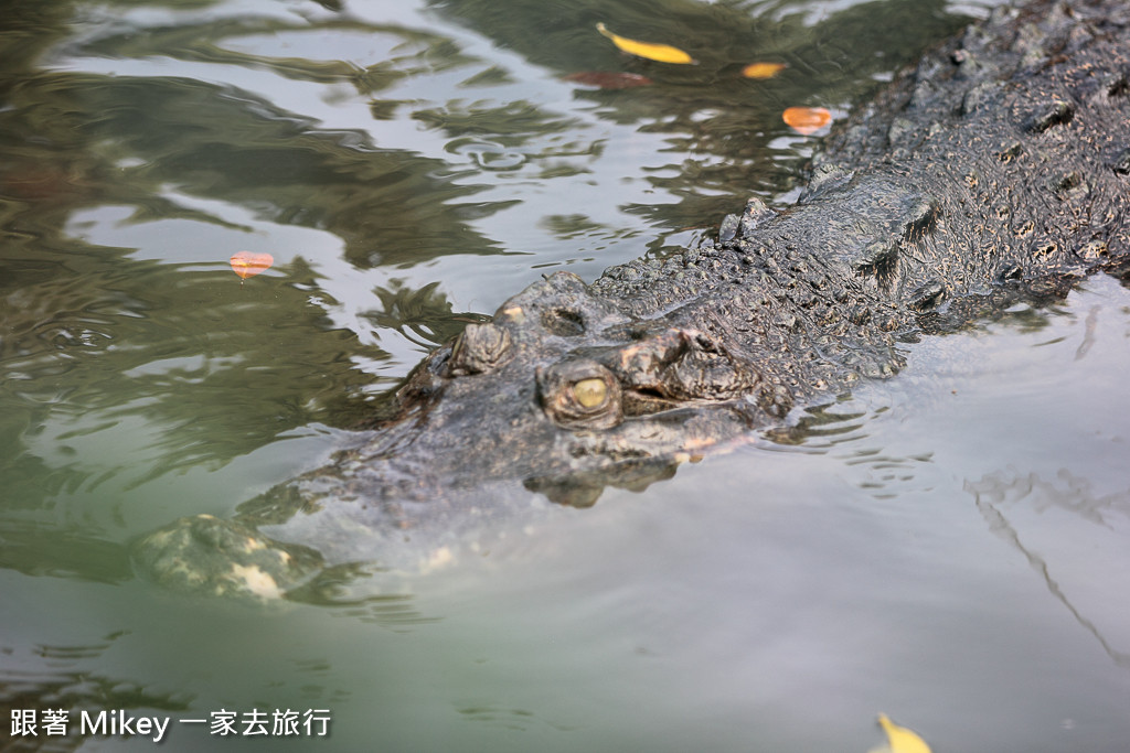 跟著 Mikey 一家去旅行 - 【 潮州 】不一樣鱷魚生態農場 - Part II