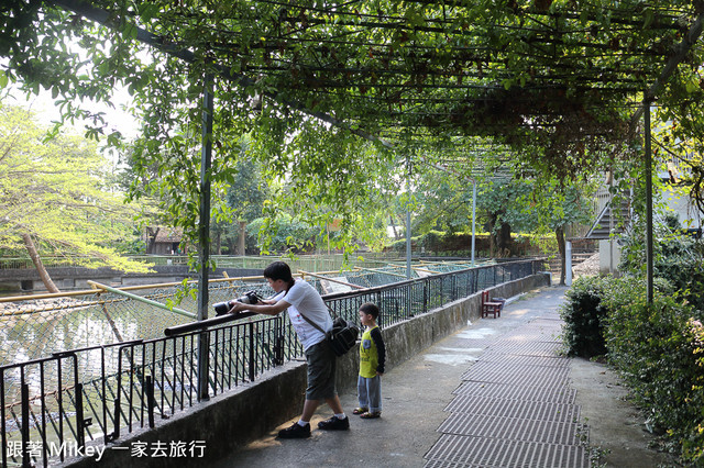 跟著 Mikey 一家去旅行 - 【 潮州 】不一樣鱷魚生態農場 - Part II