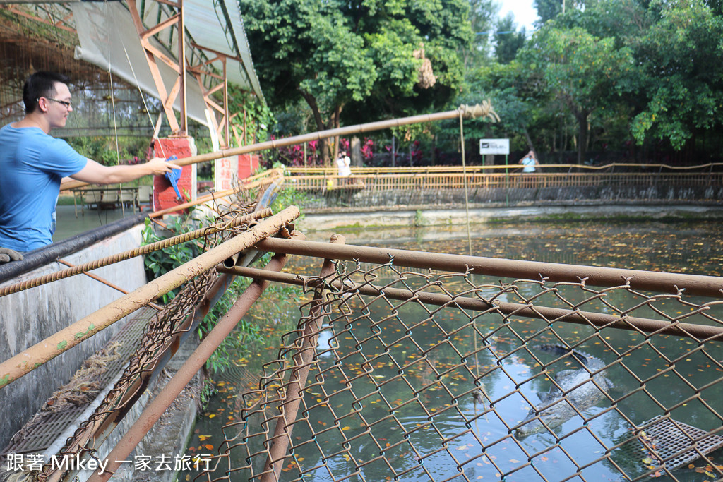 跟著 Mikey 一家去旅行 - 【 潮州 】不一樣鱷魚生態農場 - Part II