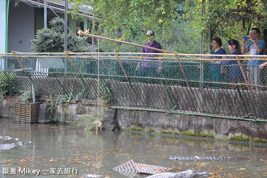 跟著 Mikey 一家去旅行 - 【 潮州 】不一樣鱷魚生態農場 - Part II