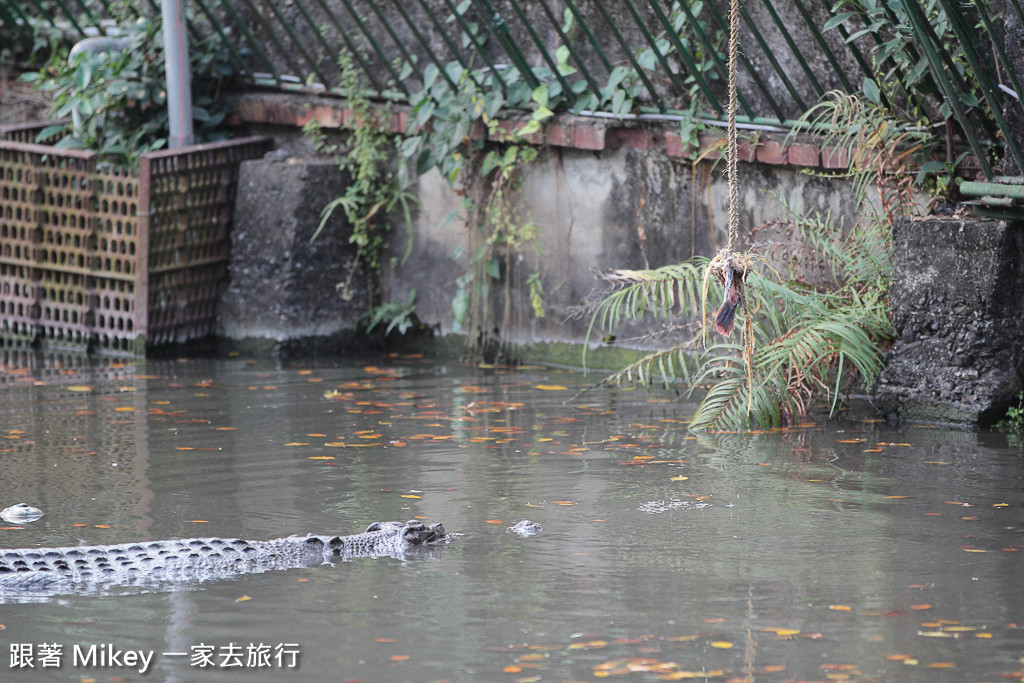 跟著 Mikey 一家去旅行 - 【 潮州 】不一樣鱷魚生態農場 - Part II