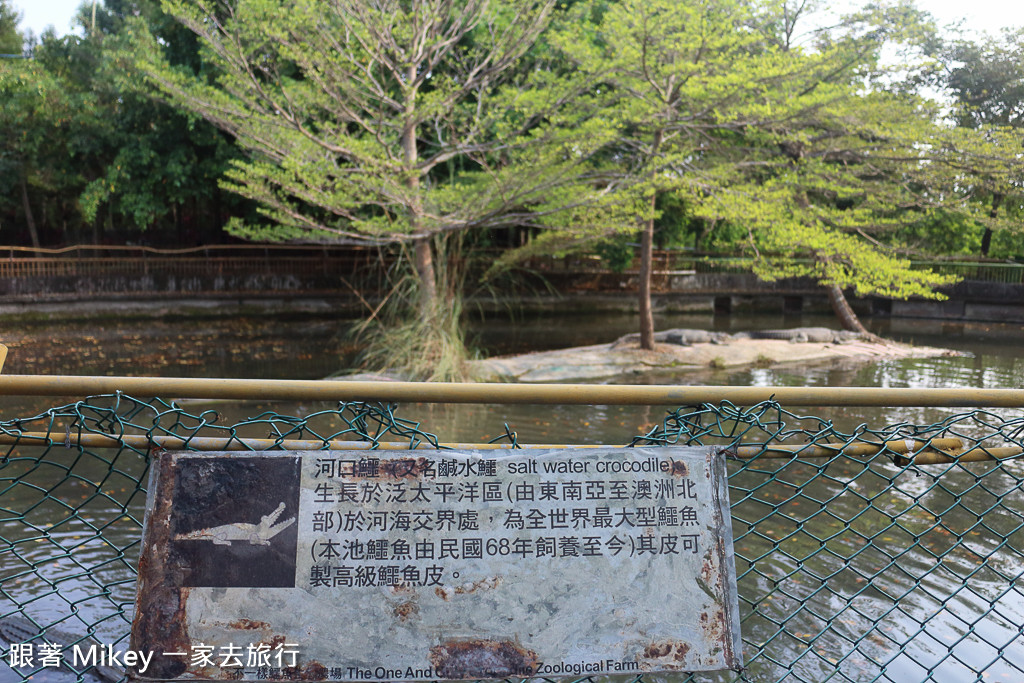 跟著 Mikey 一家去旅行 - 【 潮州 】不一樣鱷魚生態農場 - Part II