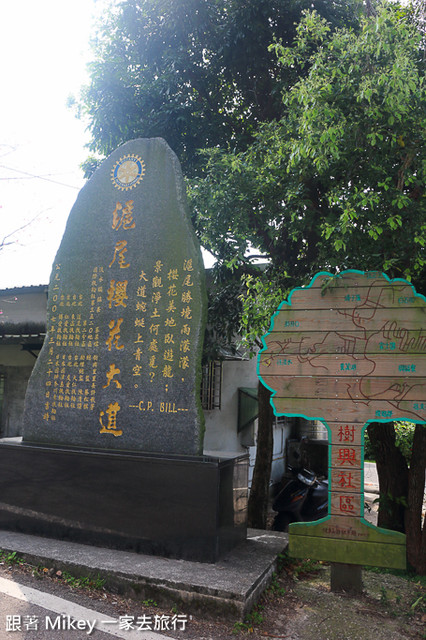 跟著 Mikey 一家去旅行 - 【 淡水 】滬尾櫻花大道